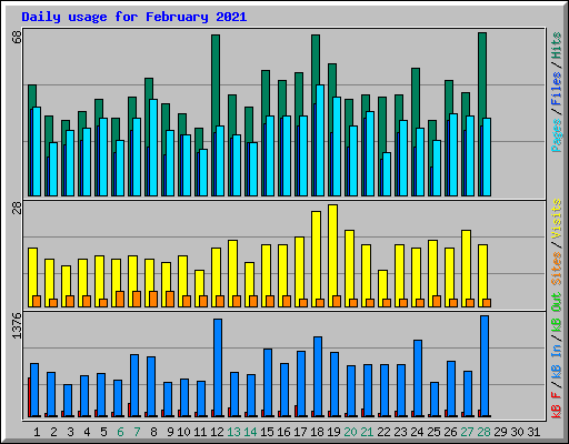 Daily usage for February 2021