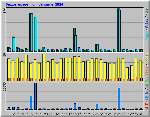 Daily usage for January 2024
