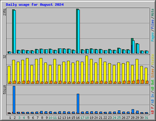 Daily usage for August 2024