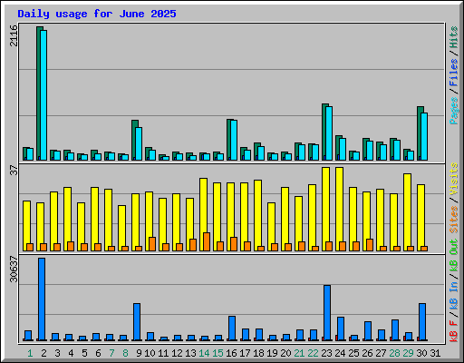 Daily usage for June 2025