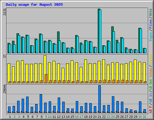 Daily usage for August 2025