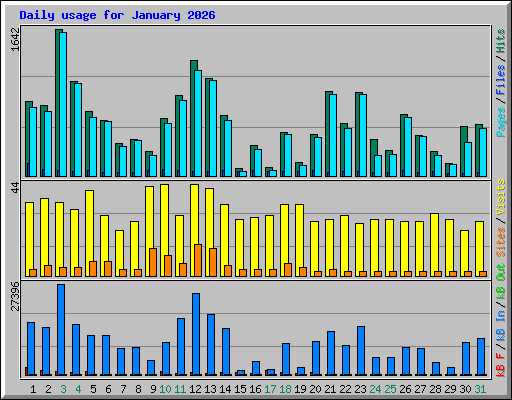 Daily usage for January 2026