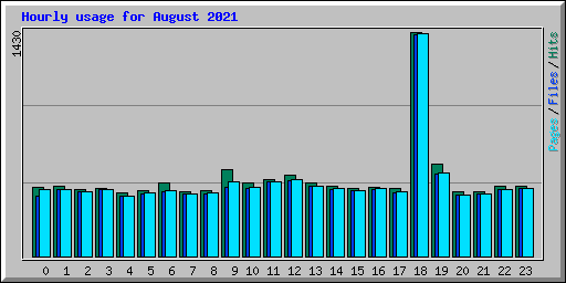 Hourly usage for August 2021
