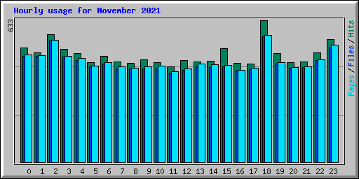 Hourly usage for November 2021
