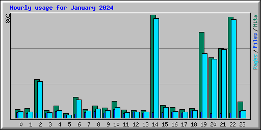 Hourly usage for January 2024