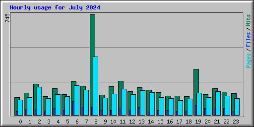 Hourly usage for July 2024