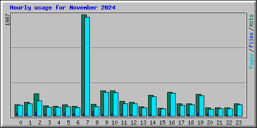 Hourly usage for November 2024
