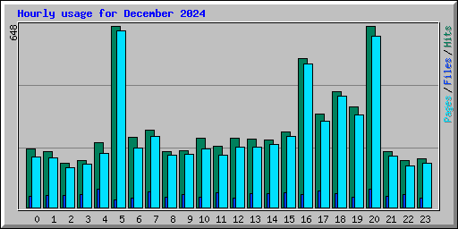 Hourly usage for December 2024