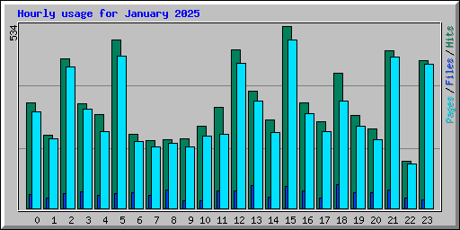 Hourly usage for January 2025