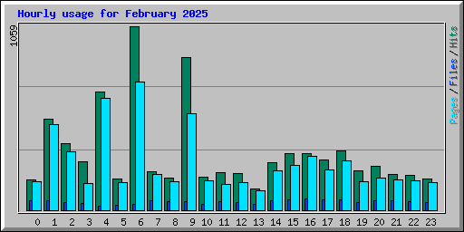 Hourly usage for February 2025
