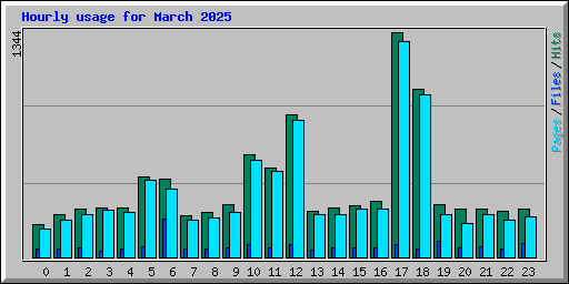 Hourly usage for March 2025