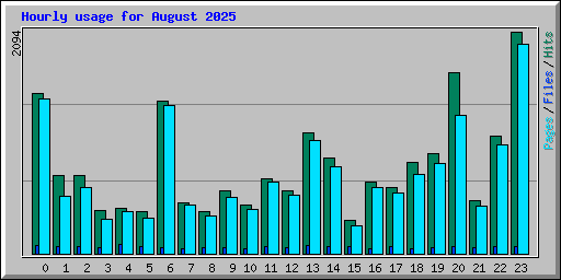 Hourly usage for August 2025