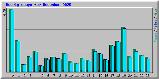 Hourly usage for December 2025
